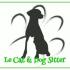 Le Cat & Dog Sitter Roma