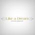 Like a Dream - Wedding Planner