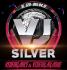 VJ Silver