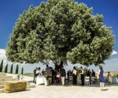 Come organizzare un matrimonio in agriturismo