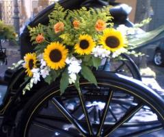 Addobbi di girasoli per la carrozza