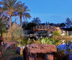 Villa Madama - Vista suggestiva del laghetto