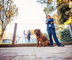 Pentastudio Foto&Film - Il racconto fotografico del matrimonio