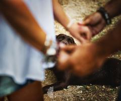 Pentastudio Foto&Film - Il racconto fotografico del matrimonio