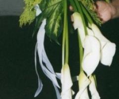 Bouquet di calle a cascata per la sposa