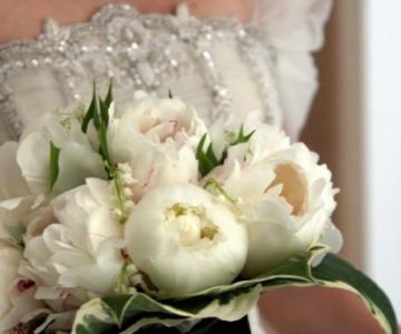 White Tulipa Wedding & Events Planner