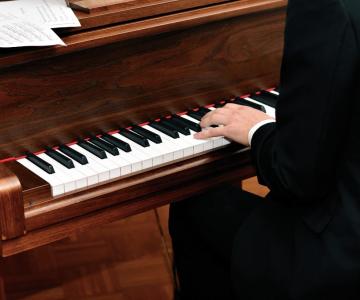 Pianista e organista Max Novara