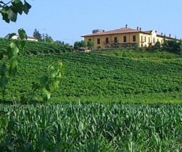 Tenuta La Romana