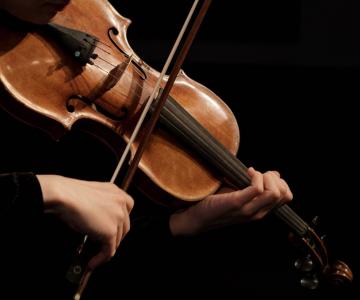 Violinista e Organista per la Cerimonia e Ricevimento