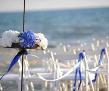 WishVersilia Wedding Planning