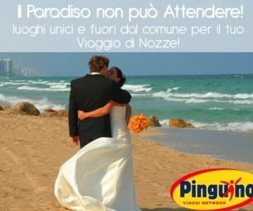 Pinguino Viaggi Baronissi