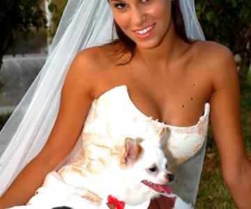 Qua la zampa - Wedding Dog Sitter