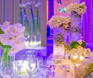 Domus Talenti - Wedding Planner