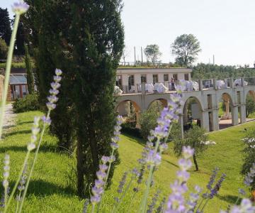 Podere Donne di Cuori