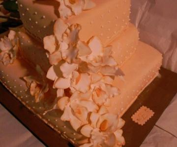 Michela Cake Designer