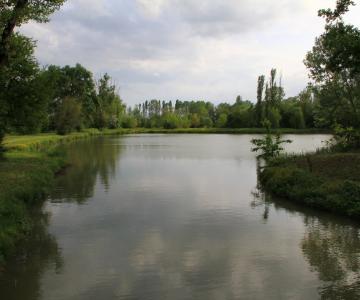 Villa Fiori di Loto