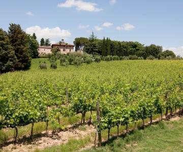 Azienda Agricola Castel di Pugna