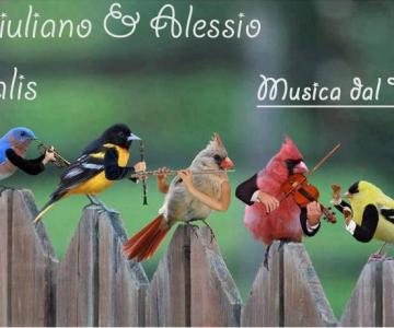 Giuliano Salis Live Music Duo