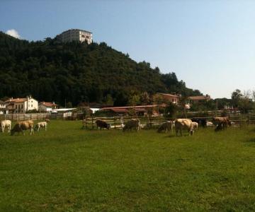 Agriturismo La Dolza