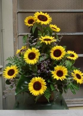 Girasoli per il matrimonio