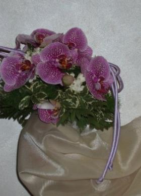 Orchidee per il matrimonio