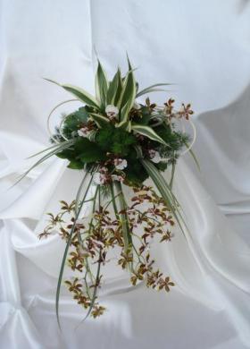 Bouquet di orchidee Cambria