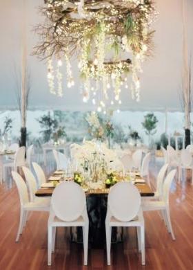 Safari wedding - Sud Africa