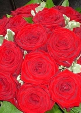 Bouquet di rosse rosse per la sposa