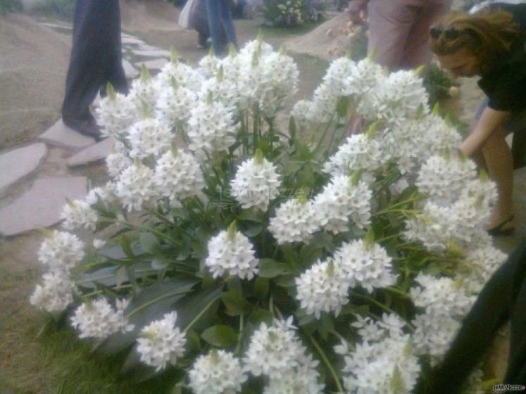 Addobbi floreali per il matrimonio a Torino