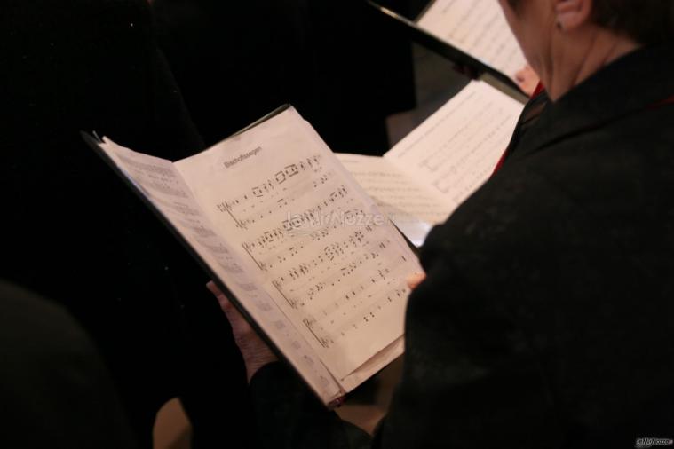 Organista, violinista e soprano Reggio Emilia