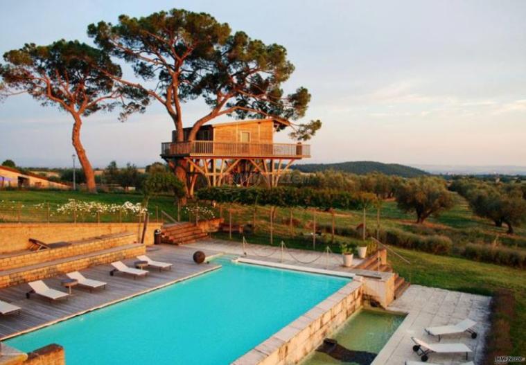 Vista della casa sull'albero e della piscina dell'agriturismo La Piantata