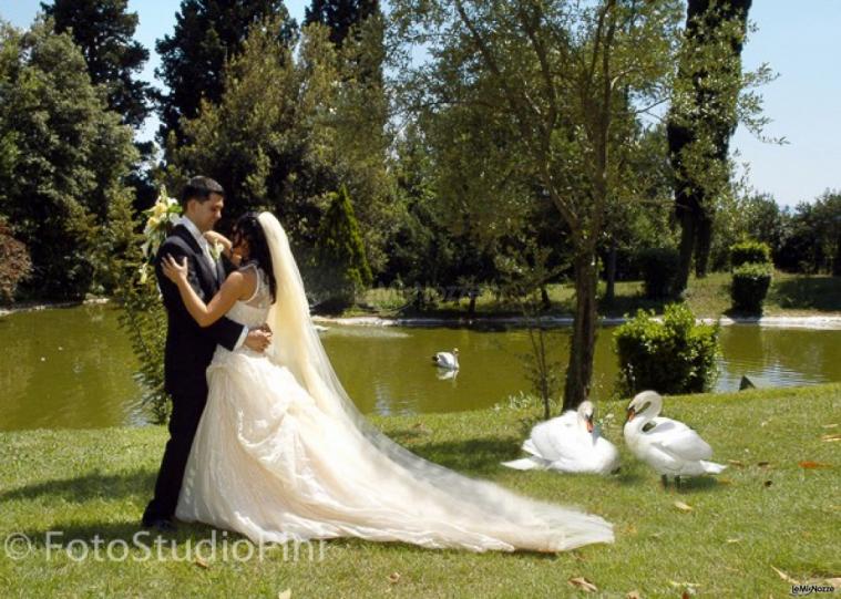 Lago con i cigni