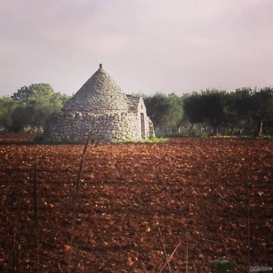 La Grande Quercia - Trullo pugliese