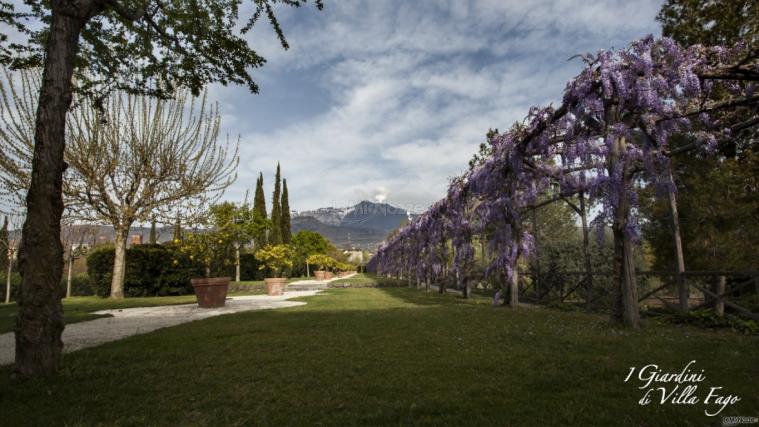 Giardino del glicine