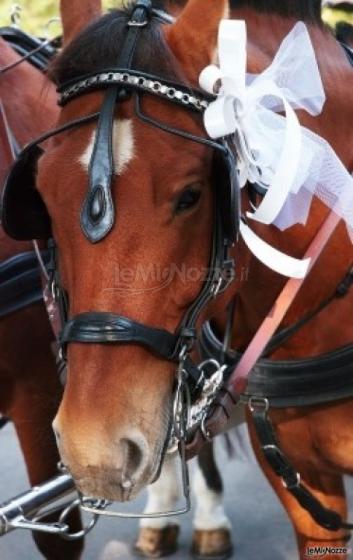 Carrozza con cavalli per gli sposi