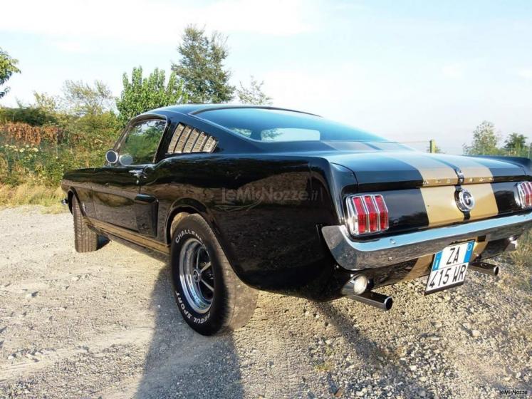 Dany auto Albani - Mustang fastback v8 1965