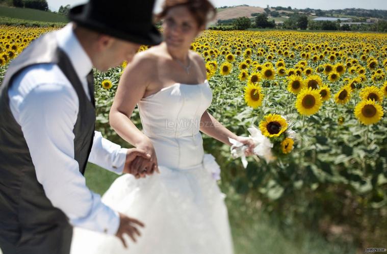 Tra i girasoli - Gianluca Rossetti