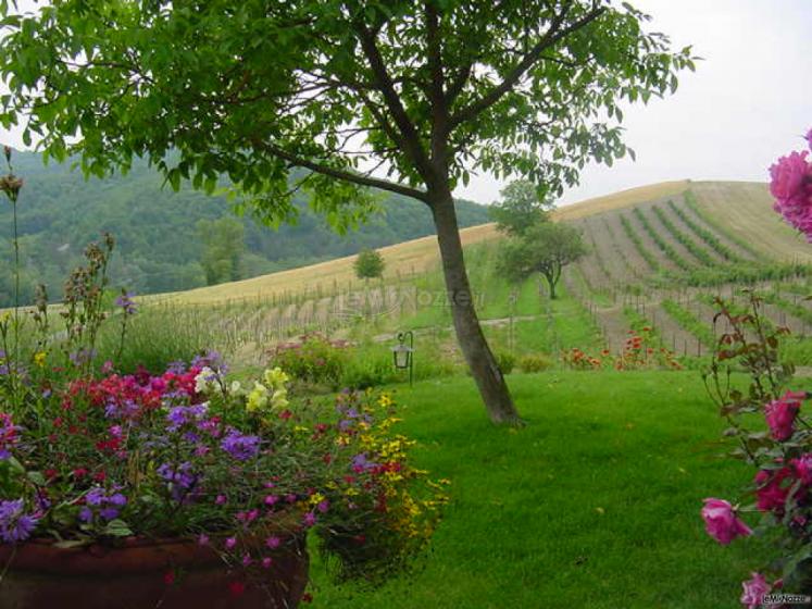 Agriturismo il Melo Rosso - Panorama delle colline