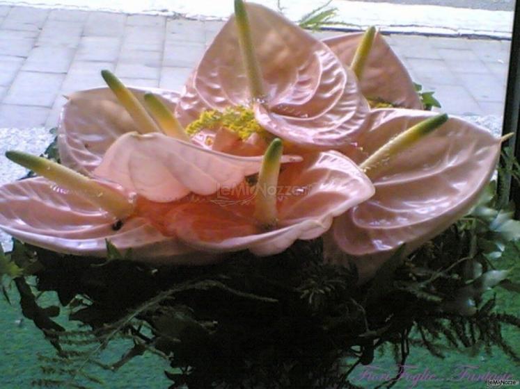 Bouquet di anthurium rosa