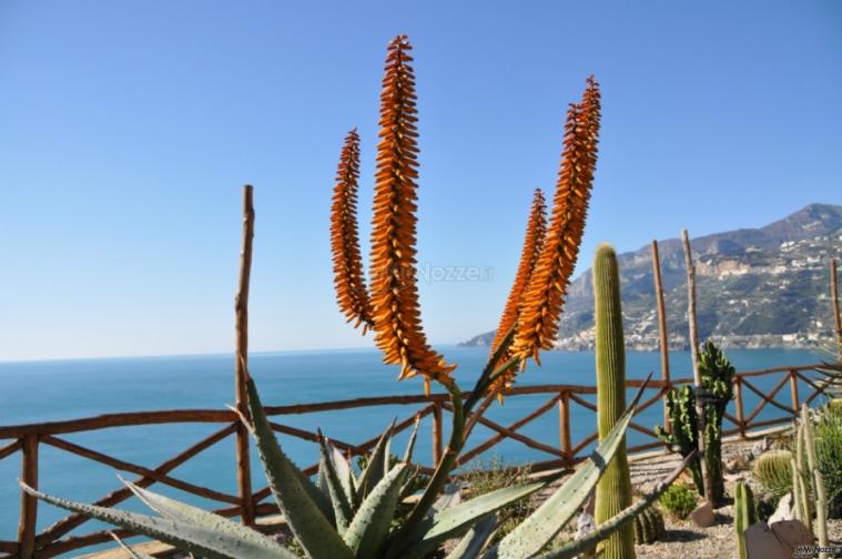 Giardino botanico - Hotel Botanico San Lazzaro