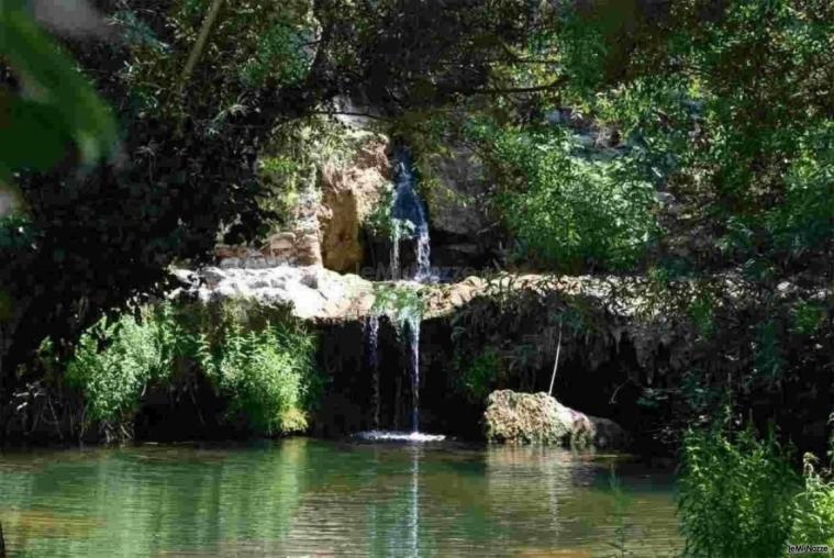 Antica Mola - Laghetto della location