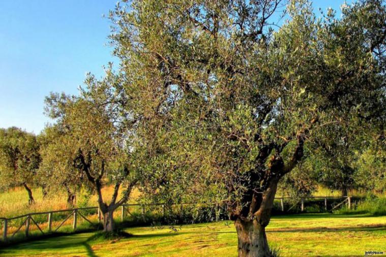 Giardino di Zaiera Resort, hotel per matrimoni a Solarino (Siracusa)