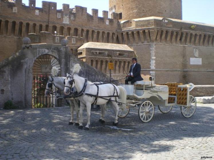 Splendida carrozza trainata da due cavalli bianchi