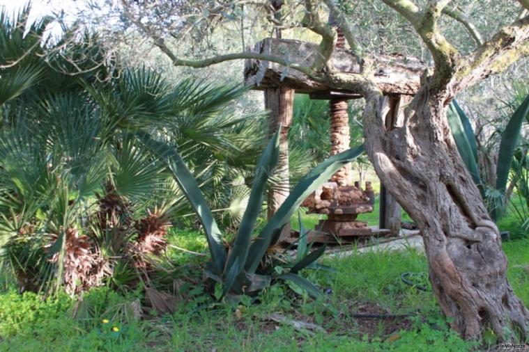 Giardino della tenuta per matrimoni