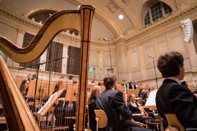 Marco organista e violinista - Musica per il matrimonio a Vercelli