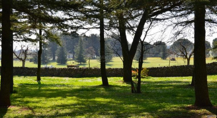 Tenuta La Vallonea - Il parco della Tenuta