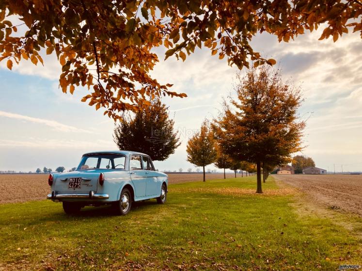 Fiat 1100 d'epoca - Autunno