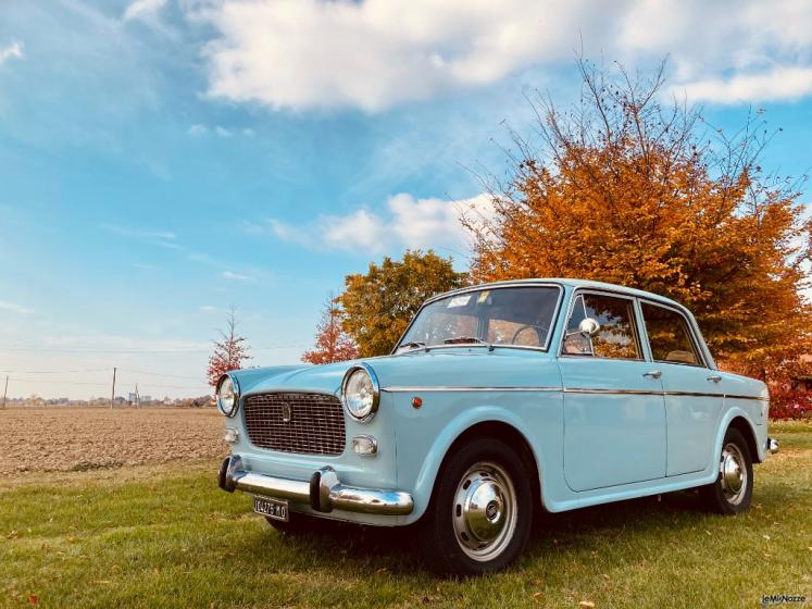 Fiat 1100 d'epoca - Fronte Autunno