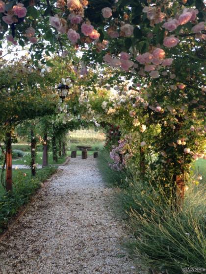 Voltabotte di rose antiche - Abbazia Sette Frati