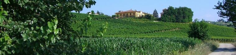 La nostra Tenuta ed i vigneti